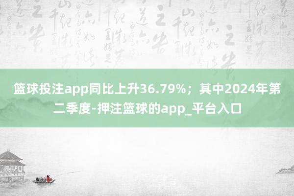 篮球投注app同比上升36.79%；其中2024年第二季度-押注篮球的app_平台入口