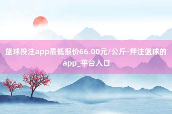 篮球投注app最低报价66.00元/公斤-押注篮球的app_平台入口