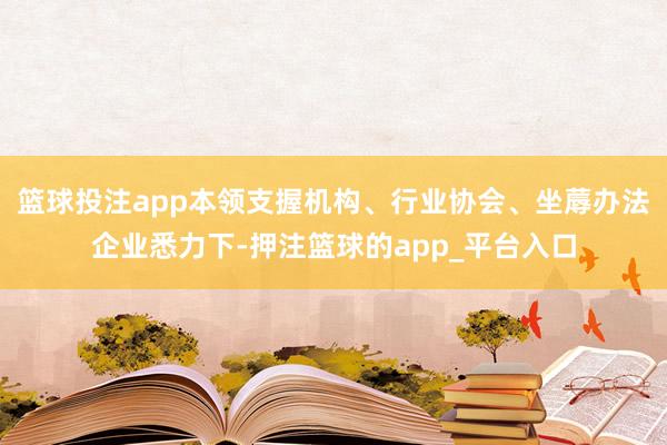 篮球投注app本领支握机构、行业协会、坐蓐办法企业悉力下-押注篮球的app_平台入口