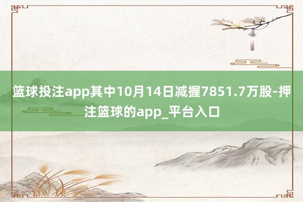 篮球投注app其中10月14日减握7851.7万股-押注篮球的app_平台入口