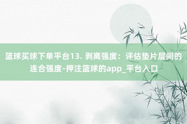 篮球买球下单平台13. 剥离强度：评估垫片层间的连合强度-押注篮球的app_平台入口